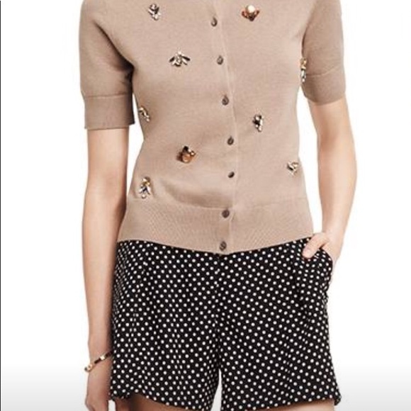 Ann Taylor Pants - Polka Dot Shorts